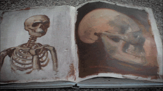 Artist anatomy studies oil in sketchbook by Damian Osborne