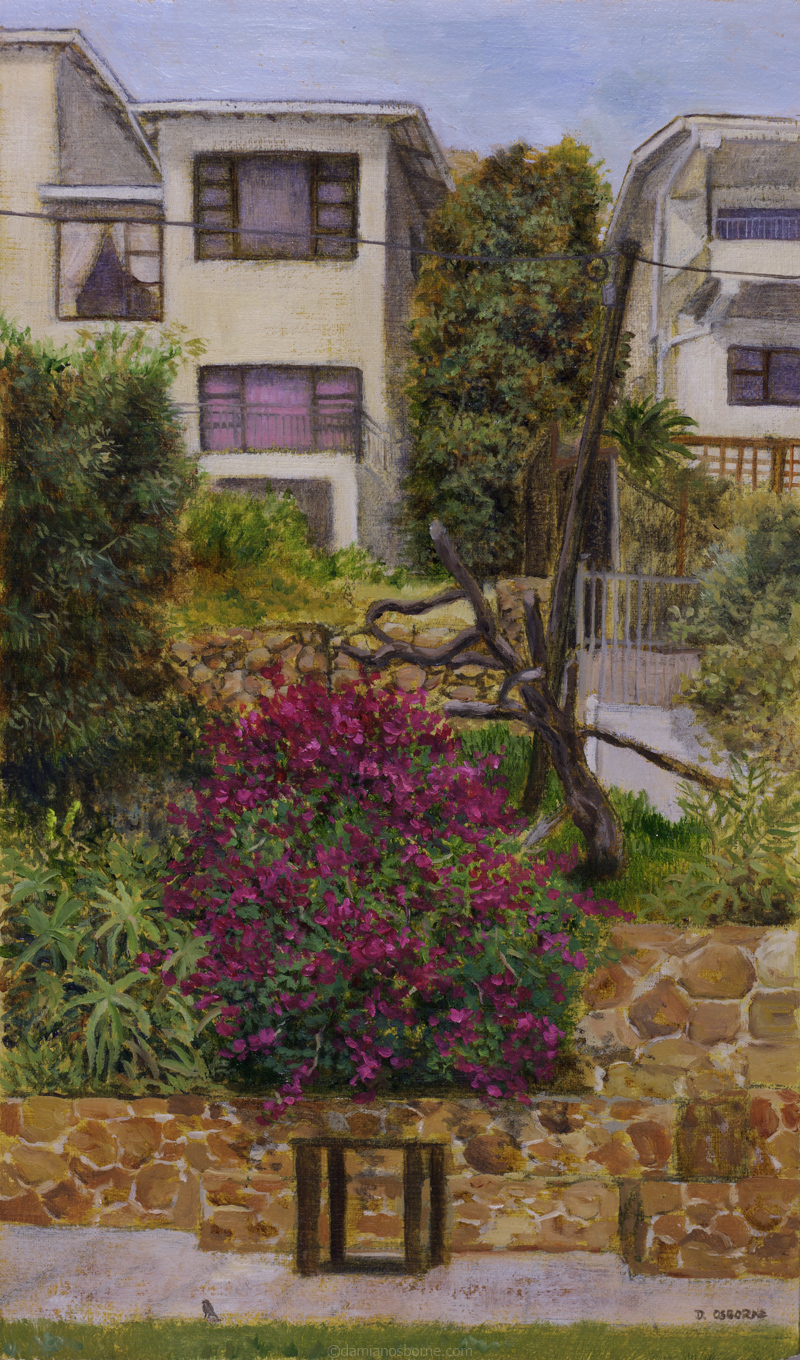 Backyard Bouganvillea by Damian Osborne, oil on panel, 13,5 x 23 cm, 2020, plein air painting, contemporary landscape painting