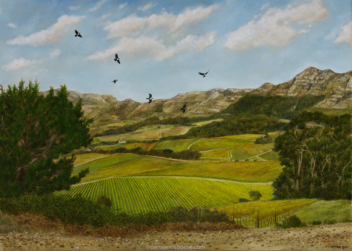 Crows in the Vineyard (View of Klein Constantia), oil on canvas, 52 x 73 cm, Damian Osborne, 2012. A plein air impressionist oil landscape painting of the Constantia Valley with Klein Constantia vineyards turning yellow in the Autumn and Pied Crows flying in the sky.