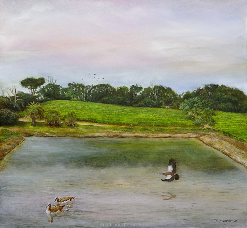 Dam in the Evening (Groot Constantia), oil on board, 32 x 34 cm, Damian Osborne, 2011. A plein air impressionist oil landscape painting of the Constantia Valley with Egyptian Geese flying over the dam.
