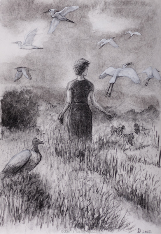 Field of Egrets, Vine Charcoal in Sketchbook, Damian Osborne, 21 x 29 cm, 2022, 800px