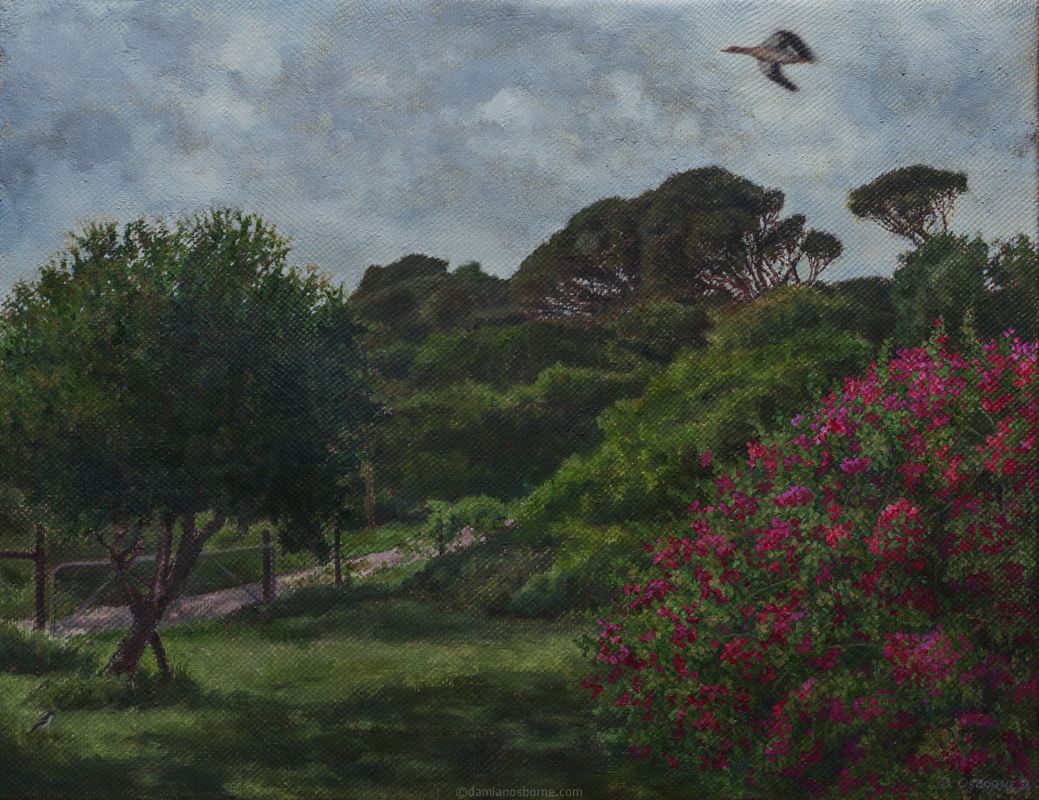 Late Morning in the Garden by Damian Osborne, oil on canvas, 36 x 46 cm, 2024. Plein air oil painting of bougainvillea and trees in a lush garden.