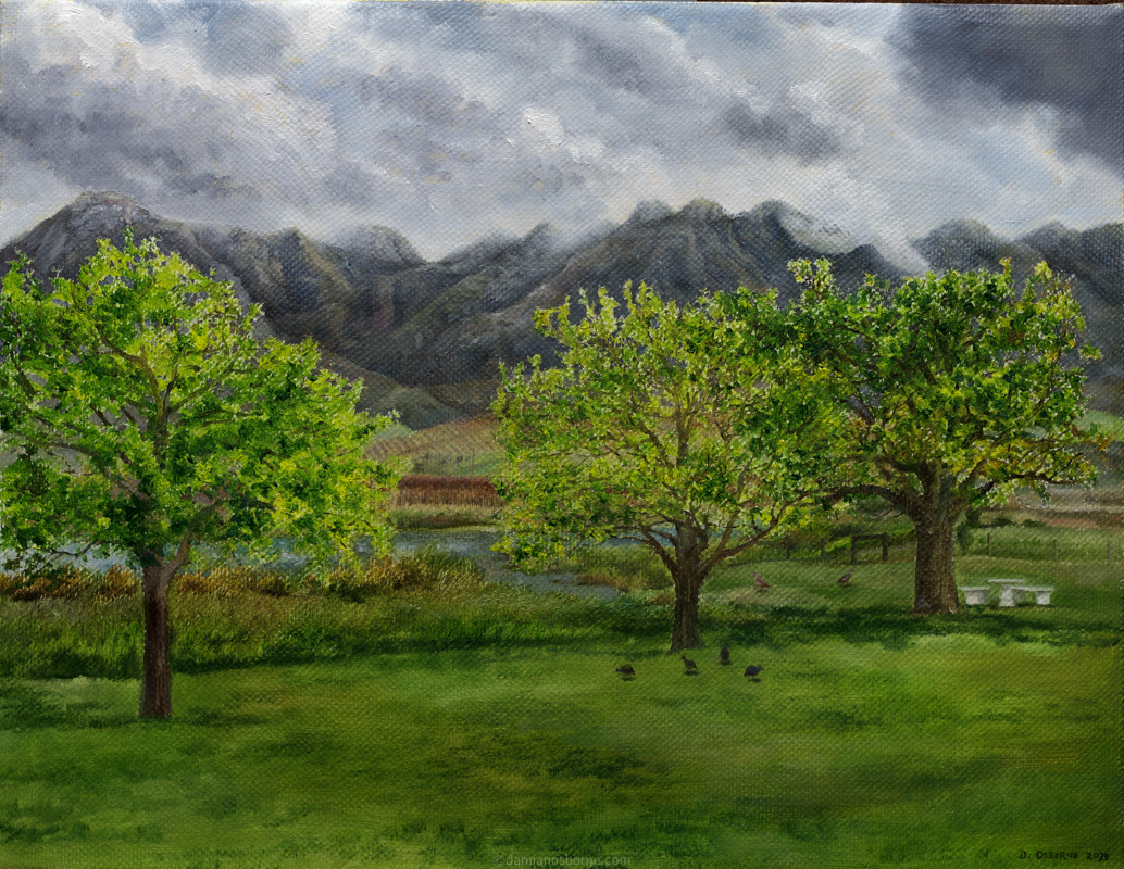 Oak Trees Beside a River in Spring by Damian Osborne, oil on canvas, 36 x 46 cm, 2023, 800px, plein air landscape painting, impressionist landscape.