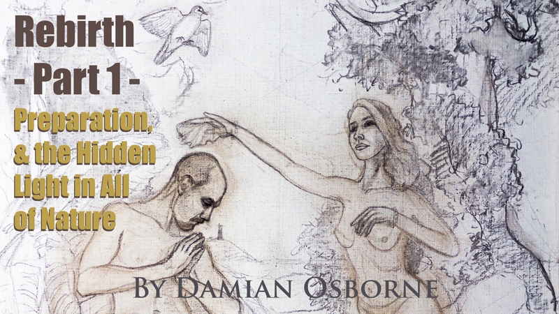 Rebirth: Starting Over as an Artist — Part 1