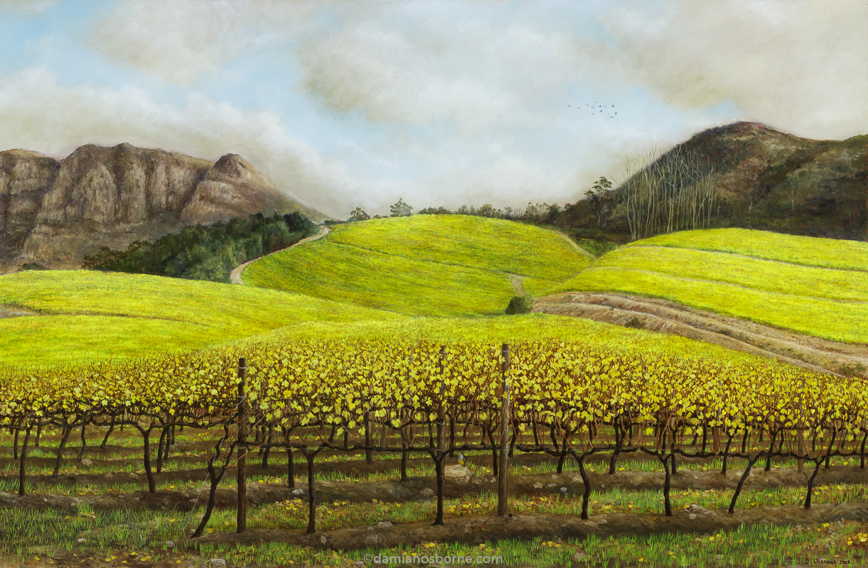 Sauvignon Blanc Vineyards in Autumn (Groot Constantia), oil on canvas, 58 x 88 cm, Damian Osborne, 2012. A plein air impressionist oil landscape painting of the Constantia Valley with the Sauvignon Blanc leaves turning yellow against the mountains.