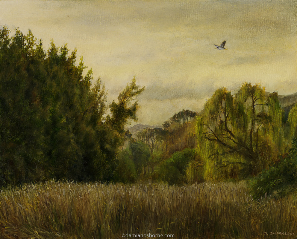 Sedge in the Evening, oil on canvas, 46 x 34 cm, Damian Osborne, 2012. A plein air impressionist oil landscape painting of the Constantia Valley with a night heron flying over the sedge at dusk.