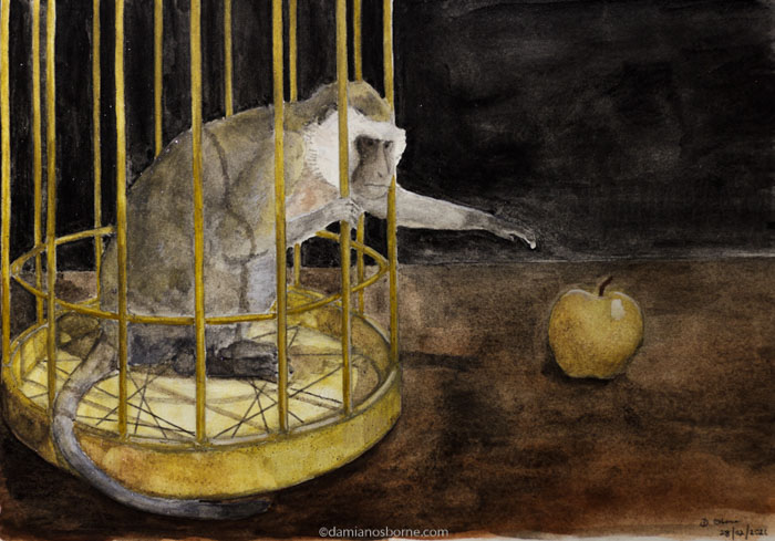 Silver Monkey in a Golden Cage, Alchemical Dreams and Art, watercolour on paper, Damian Osborne, 2021