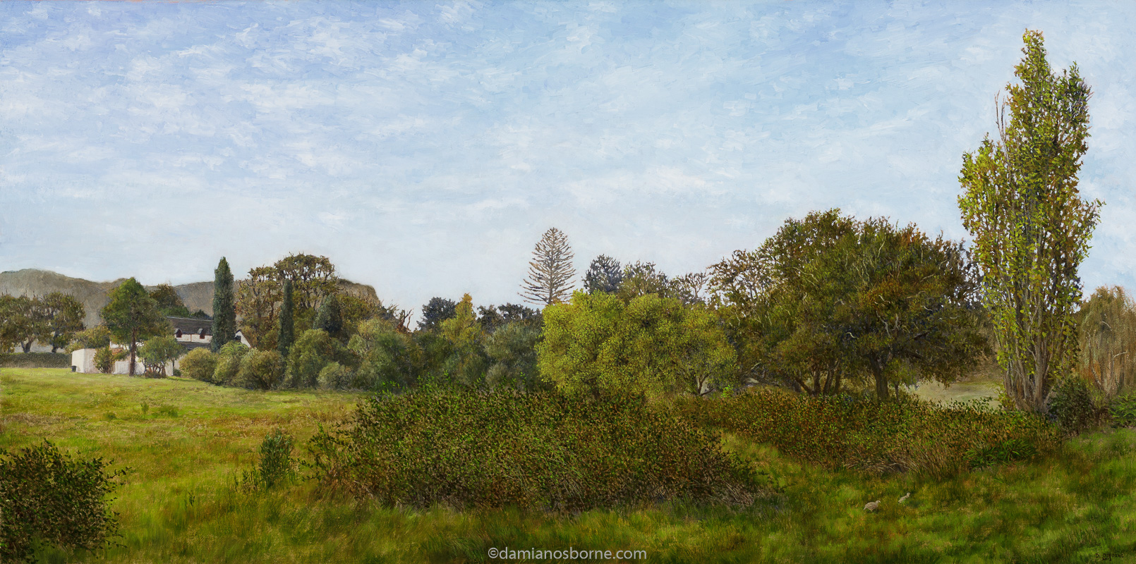 The Bramble Bushes, oil on canvas, 40 x 81 cm, Damian Osborne, 2012. A plein air impressionist oil landscape painting of the Constantia Valley with trees and farmland.