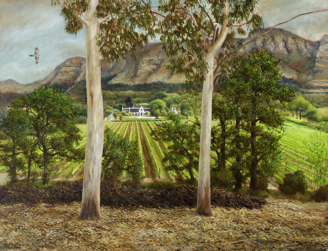 The Gumtrees (View of Klein Constantia), oil on canvas, 60 x 79 cm, Damian Osborne, 2012, plein air impressionism, Constantia vineyard painting, South African landscape oil painting