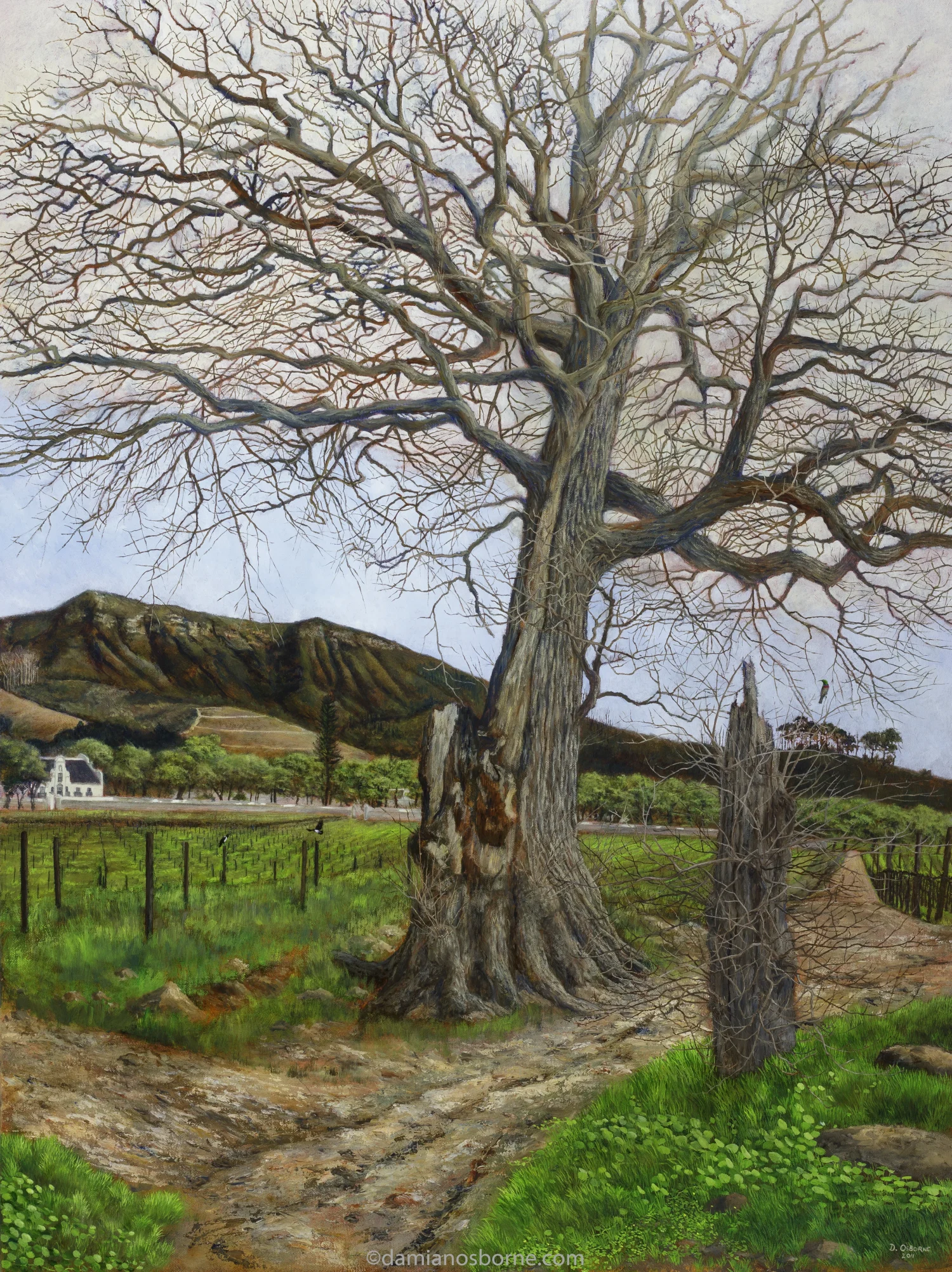 Constantia Valley Landscape Paintings by Damian Osborne, contemporary portfolio
